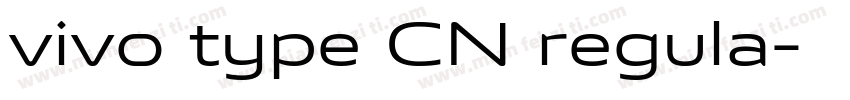 vivo type CN regula字体转换